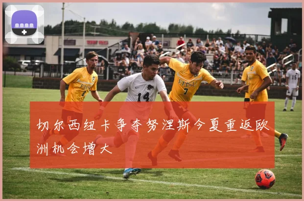 切尔西纽卡争夺努涅斯今夏重返欧洲机会增大